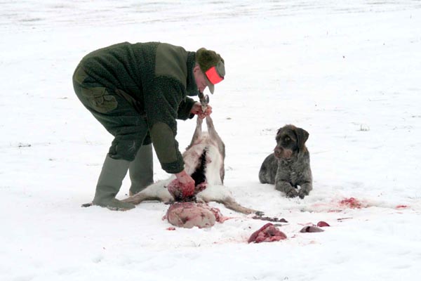 Killikus® Fotographie Killikus® Fotographie